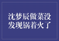 沈梦辰烹饪失误，不慎引发厨房火灾