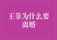 真相揭秘！探究王菲离婚背后的真实原因