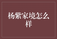 杨紫：从平凡到辉煌的家境之路