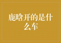 揭秘鹿晗座驾，他开的是什么车？