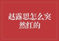 赵露思：从平凡到辉煌的冒险之旅