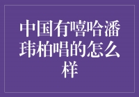 嘻哈风潘玮柏：他如何在中国音乐界崭露头角