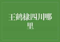 王鹤棣亲临故乡四川，探索神秘之地