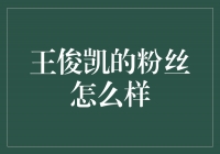 王俊凯的粉丝：热情、忠诚与无限可能