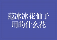 范冰冰花仙子的秘密武器——花之力量