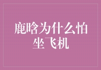 揭秘鹿晗的飞行之谜：为什么他如此害怕坐飞