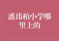 揭秘潘玮柏小学时的求学之路