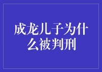 成龙儿子被判刑，家族阴影下的人生转折