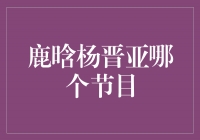 鹿晗杨晋亚：谁更适合主持综艺节目？