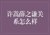 许嵩与薛之谦的关系揭秘：友情的细节与共同