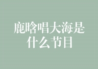 鹿晗演唱《大海》惊艳全场，节目引爆热议！