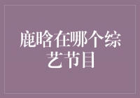 揭秘鹿晗参与的热门综艺节目，他的风采令人