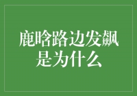 鹿晗路边发飙的真相揭秘！