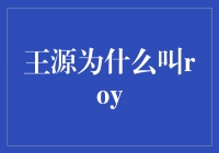 王源为什么叫Roy？探寻一个名字背后的故事