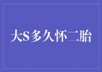 揭秘大S：她何时才会迎来二胎的好消息？