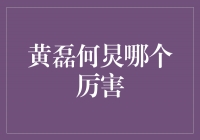 黄磊和何炅，他们各有所长