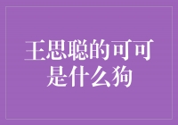 王思聪的可可是什么狗？揭秘他心爱宠物的身