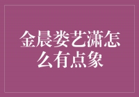 金晨娄艺潇：相貌相似，才华相互辉映