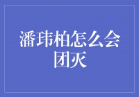 潘玮柏：从困境到重生，绽放自我魅力