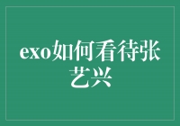 张艺兴：EXO眼中的光芒与成长之路