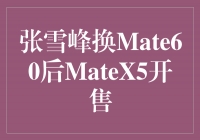 ѩ廻Mate60MateX5