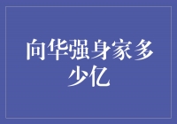 向华强：励志传奇，身家亿万引人瞩目