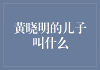 《黄晓明的儿子不仅是一个名字，更是他的骄