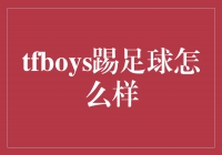 TFBOYSչ꽡ɳ