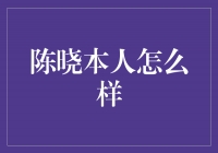 点亮荧屏的多面才子——陈晓的魅力与风采