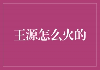 王源：青春风暴，如何成为璀璨明星？