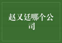 揭秘赵又廷旗下的公司帝斯曼娱乐