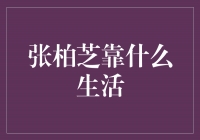 张柏芝的坚韧与自强：她靠努力和才华重新定