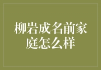 柳岩：从平凡家庭到辉煌星途的坚定脚步