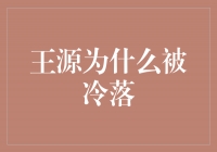 王源：从闪耀到冷落，他的转变引发了什么？