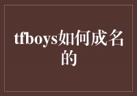 TFBOYS：少年成名路上的青春舞台