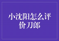 小沈阳评价刀郎：才华横溢的音乐天才