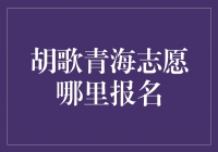 胡歌青海志愿报名，传递爱心的热血之旅