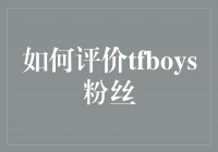 TFBOYS粉丝：激情与热爱的化身