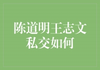 陈道明王志文的深厚友谊——传承情谊、共谋