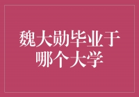 魏大勋：努力奋斗的大学生典范